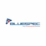 Bluespec Holdings